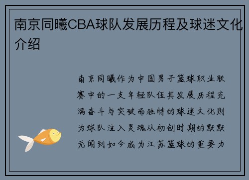 南京同曦CBA球队发展历程及球迷文化介绍