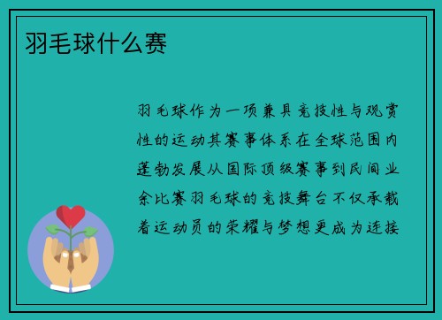 羽毛球什么赛